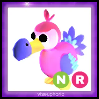 NR Dodo 