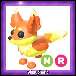NR Flaming Fox