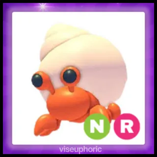 NR Hermit Crab 