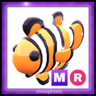 MR Clownfish 