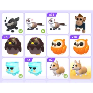Pets Bundle - Adopt Me