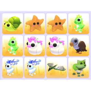 Pets Bundle - Adopt Me