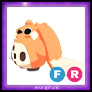 FR Cabbit