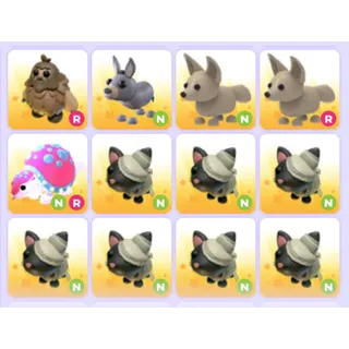 Pets Bundle - Adopt Me