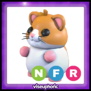 NFR Hamster