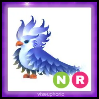 NR Frost Phoenix