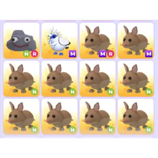 Pets Bundle - Adopt Me