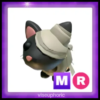 MR Black Mummy Cat