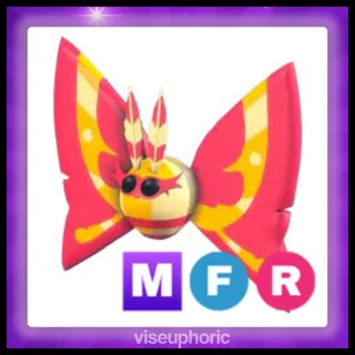 MFR Rosy Maple Moth