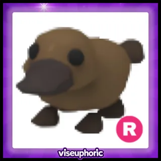 R Platypus