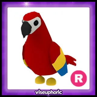 R Parrot