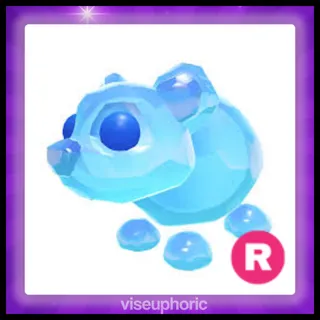 R Frostbite Bear