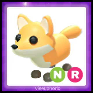 NR Red Fox