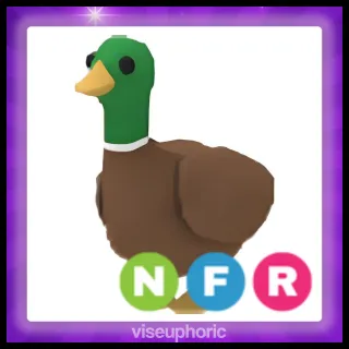 NFR Drake