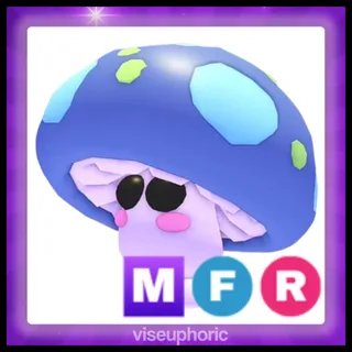 MFR Mushroom Friend
