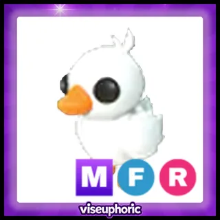 MFR Happy Duckling