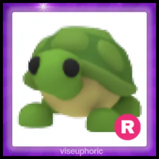 R Turtle