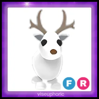 FR Arctic Reindeer