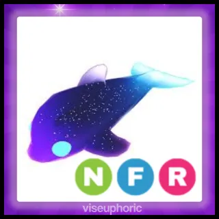 NFR Glormy Dolphin