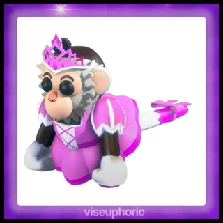 Princess Capuchin Monkey 