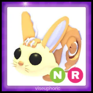 NR Bunny Swirl