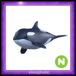 Neon Orca