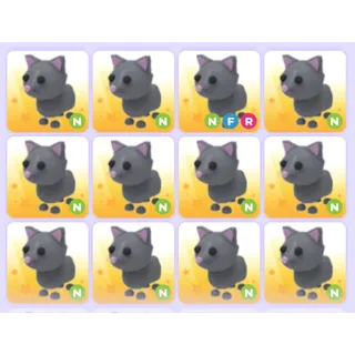 Pets Bundle - Adopt Me