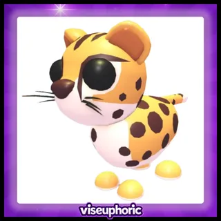 Cheetah