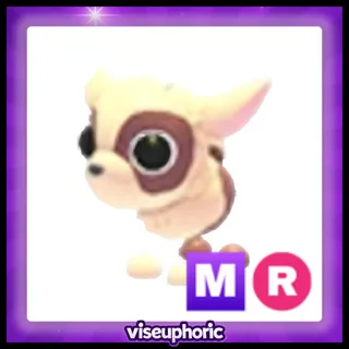 MR Kid Goat