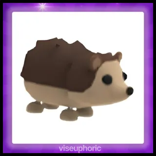 Hedgehog