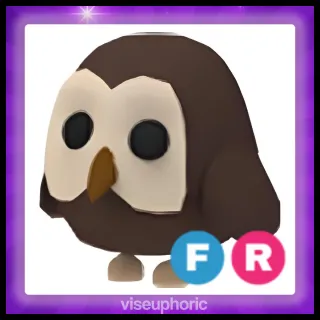 FR Owl 