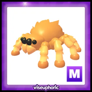 Mega Jumping Spider