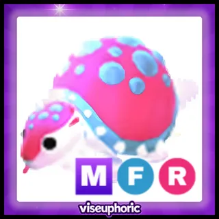 MFR Glyptodon