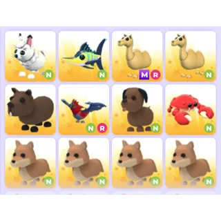 Pets Bundle - Adopt Me