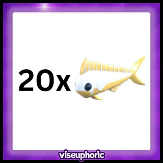 20x Gold Mahi Mahi