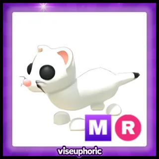 MR Ermine 