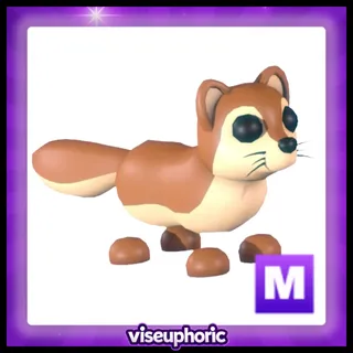 Mega Mongoose 