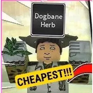 x50 Dogbane Herb - Bridger: Western