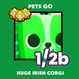 huge irish corgi (pets go)