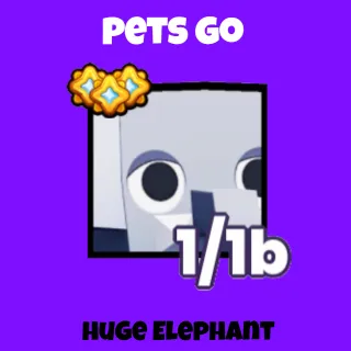 Pets Go Huge Elephant 