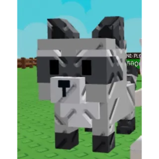 Racoon grow a garden 2