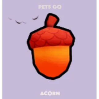 pets go acorn (LIMITED)