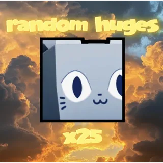 x25 random huges cheap!