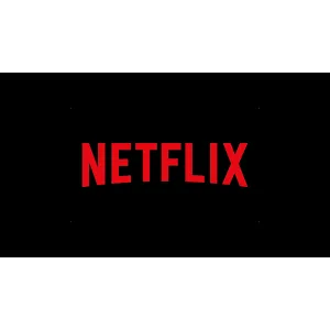 netflix 1 year x2