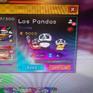 Los Pandas Exotic Btd
