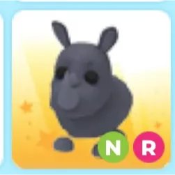 Pet |  NR Rhino