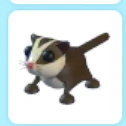 sugar glider
