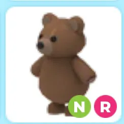 Pet |  NR brown bear