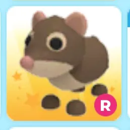 ride shrew
