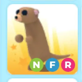 Adopt me nfr meerkat